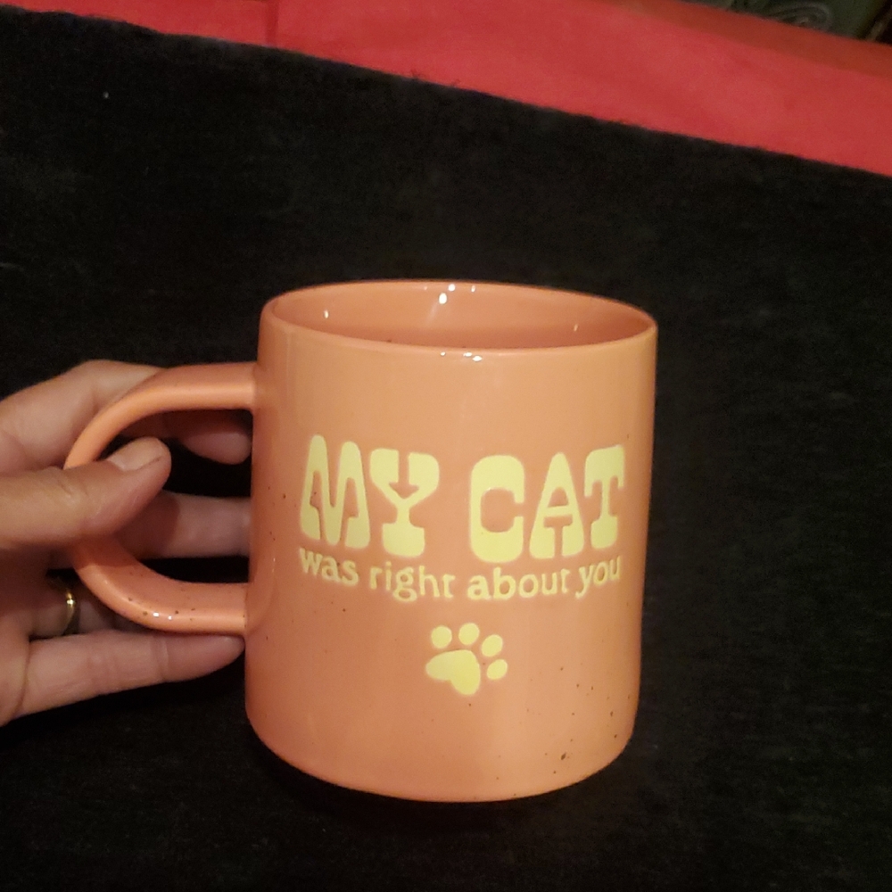 MY CAT WAS RIGHT ABOUT YOU Pink Cat-Themed Mug